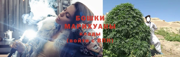 PSILOCYBIN Киреевск